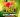 Jacot Fen - Showcase - Kianjan'ny Ankarefo