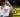 303 Monster showcase by Bigg Jimda Guests TSR_SKB, Anatii, El Gringos