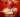 Annicette‍ - Golden Night Ambilobe‍