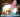 Bekoto‍ cabaret au Karibotel Twenty Six 26‍ animation Barhone‍