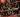 Black Wizard Cult & Egraygore CMDELAC