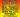 Bring back reggae culture Jamaica By Pass