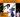 Cabaret Fara Gloum Amitie Fandian 67Ha