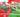 Championnat 2017 RC - Ambogitsiry