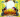 Dadah De Fort-Dauphin‍ en show case Bonara-Be 67ha‍