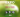 Expo fampirantiana CGM Analakely‍ manefy ny nahary Soa ny ain