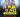 H'Mia‍ & Gaei‍ - Restaurant William Kidd Sainte-Marie‍