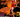 Halloween Night - Le SIX‍