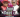 Jijih‍ & Ginot Fabrice‍ - Stade Ampasamasay Fort-Dauphin‍