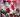 La Saint Valentin Espace Grace Ambodiafontsy