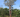 Le baobab citerne : une stratégie de gestion de l'eau de pluie chez les mahafaly - IFM - Institut Français de Madagascar‍
