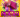 Lego‍ en concert au Bonara-Be 67ha‍