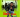 Ludo‍ - JAO'S PUB‍