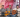 mahery‍, Luk‍ & Nini Kolibera‍ en concert Piment Café Behoririka‍