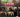 Makwa‍ & Slam'Suaré‍ - concert slam et musique - Terrasse du voyageur Antsiranana‍