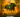 Mario‍ au grand complet - Bonara-Be 67ha‍