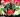 Mijah‍ , Jean Aimé‍ & Fanah‍ en concert - Kianja Maitso Ambohitrarivo‍