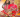 Mijah‍ & Princia‍ Tour Sud est 2017