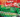 Ndao hanal'azy - Casc PK Zero Soarano (Madarail)‍ show case Jiol'Ambup's‍ , Tsota‍ , Mr Sayda‍ , Thiera Kougar‍ , Radz krutam bull‍ , Dj Gouty‍ , Mister Nathy‍ , Dj Jicco‍ , Yoann Loic‍