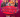 Ndondolah‍, Lucia‍, Lola‍ & Dj Dina‍ - Indian Palace Bron France‍