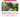 Questions pour un champion spécial dinosaures - AF - Fort-Dauphin‍