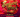 Seduce me - discothèque gasy - Colonne Paris‍