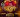 Sexy night - Golden Night Ambilobe‍