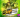 Shyn‍ en show case Le 208 Sambava‍