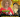 Sisca‍ & Brams‍ en concert - CEMESS Antanimora‍