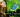 Soirée beach & tropical night - Le SIX‍