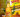 Soirée Skol cactus - Loock Ness Tana