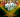 Tropical gasy party à Poitiers avec Deszo‍ , Elidiot‍ , Basta Lion‍ -