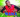 Wawa‍ grand bal mahafaka chaouko - Gymnase Soavita Toamasina‍
